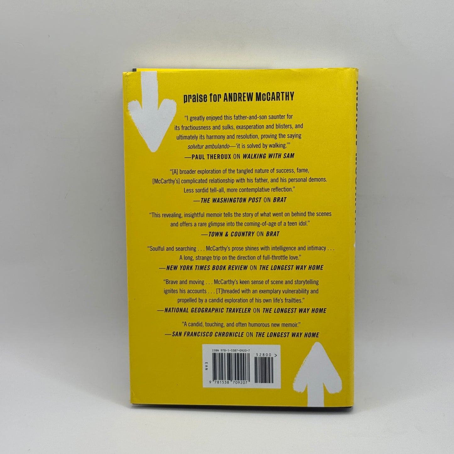 Walking with Sam by Andrew McCarthy