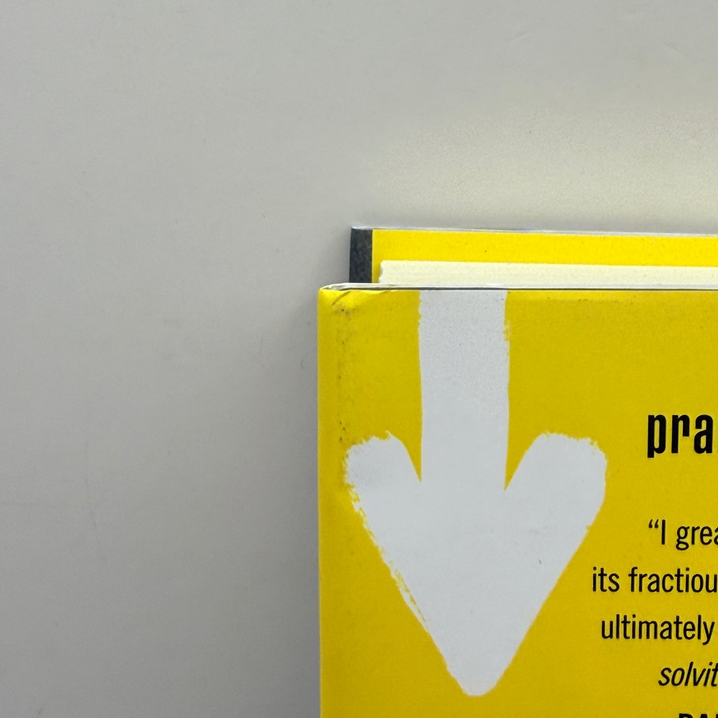 Walking with Sam by Andrew McCarthy