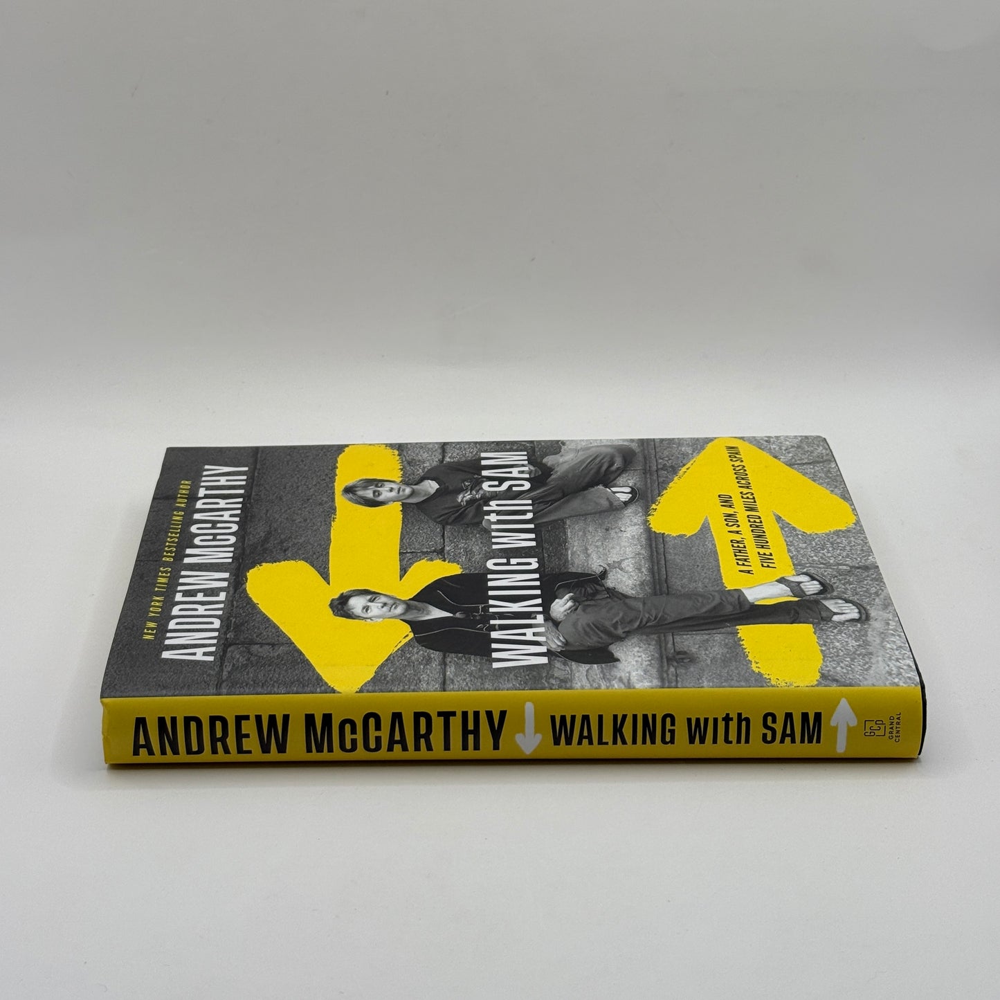 Walking with Sam by Andrew McCarthy