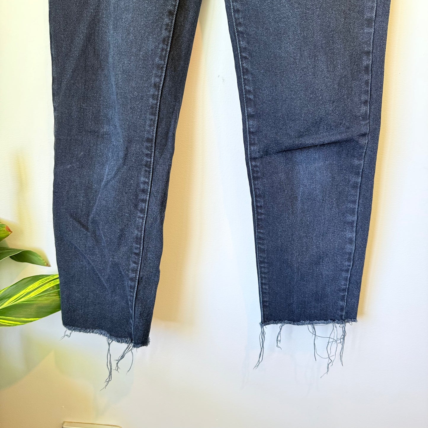 Abrand Jeans Size 26 Blue Denim Jeans with Fray Hem