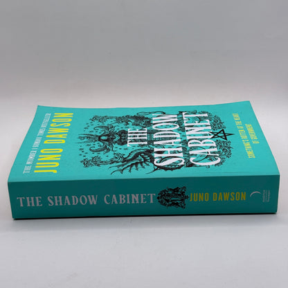 The Shadow Cabinet by Juno Dawson