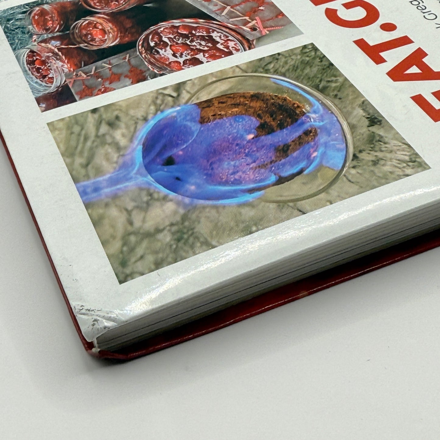 Christmas at the Castle Cookbook: Eat. Gift. Play. by Mark Gregory