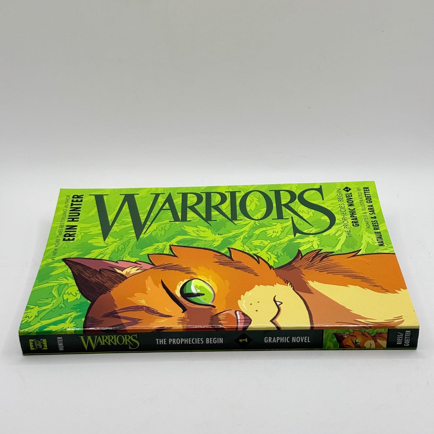 Warriors: The Prophecies Begin Graphic Novel #1 by Erin Hunter