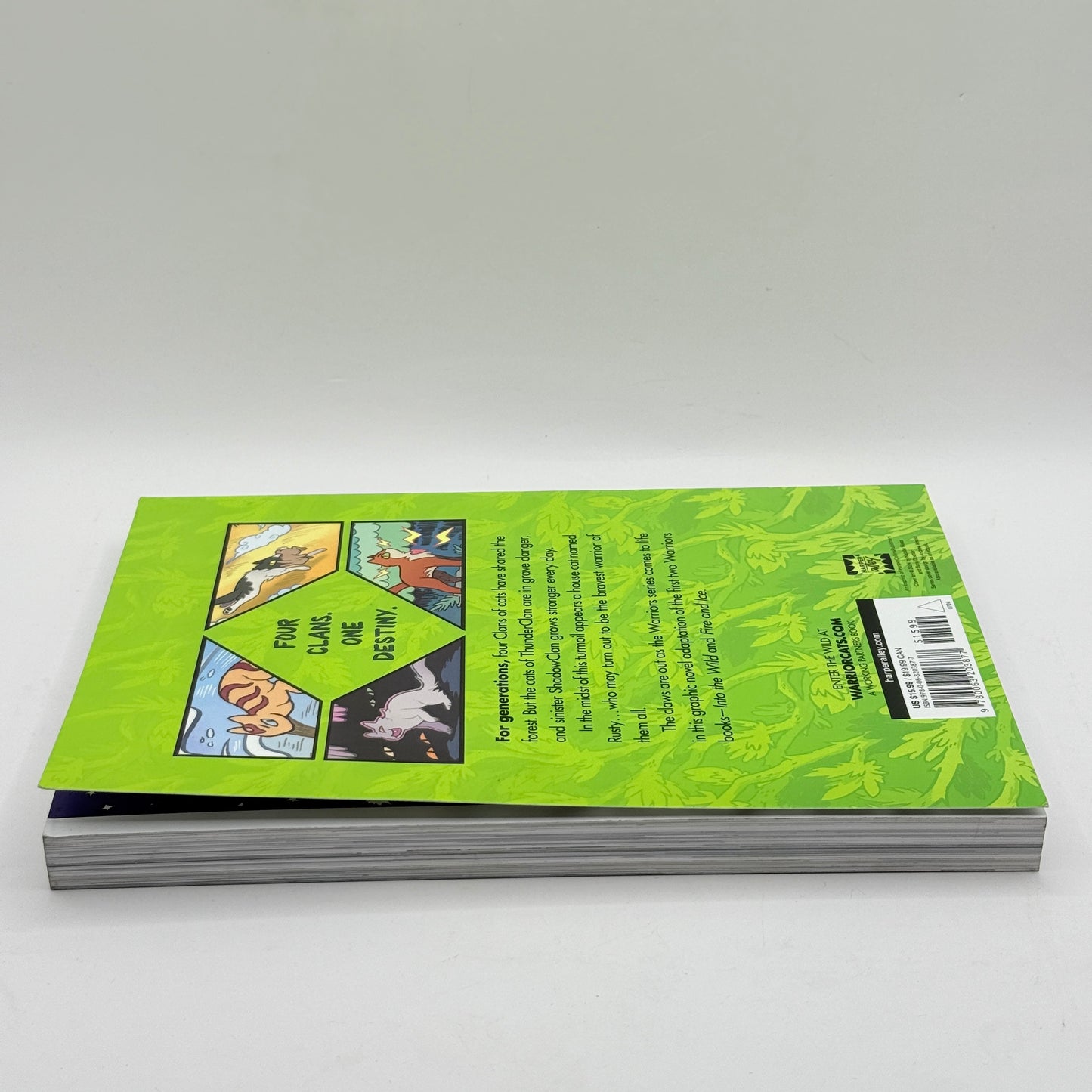 Warriors: The Prophecies Begin Graphic Novel #1 by Erin Hunter