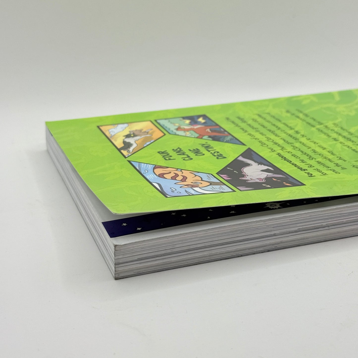 Warriors: The Prophecies Begin Graphic Novel #1 by Erin Hunter