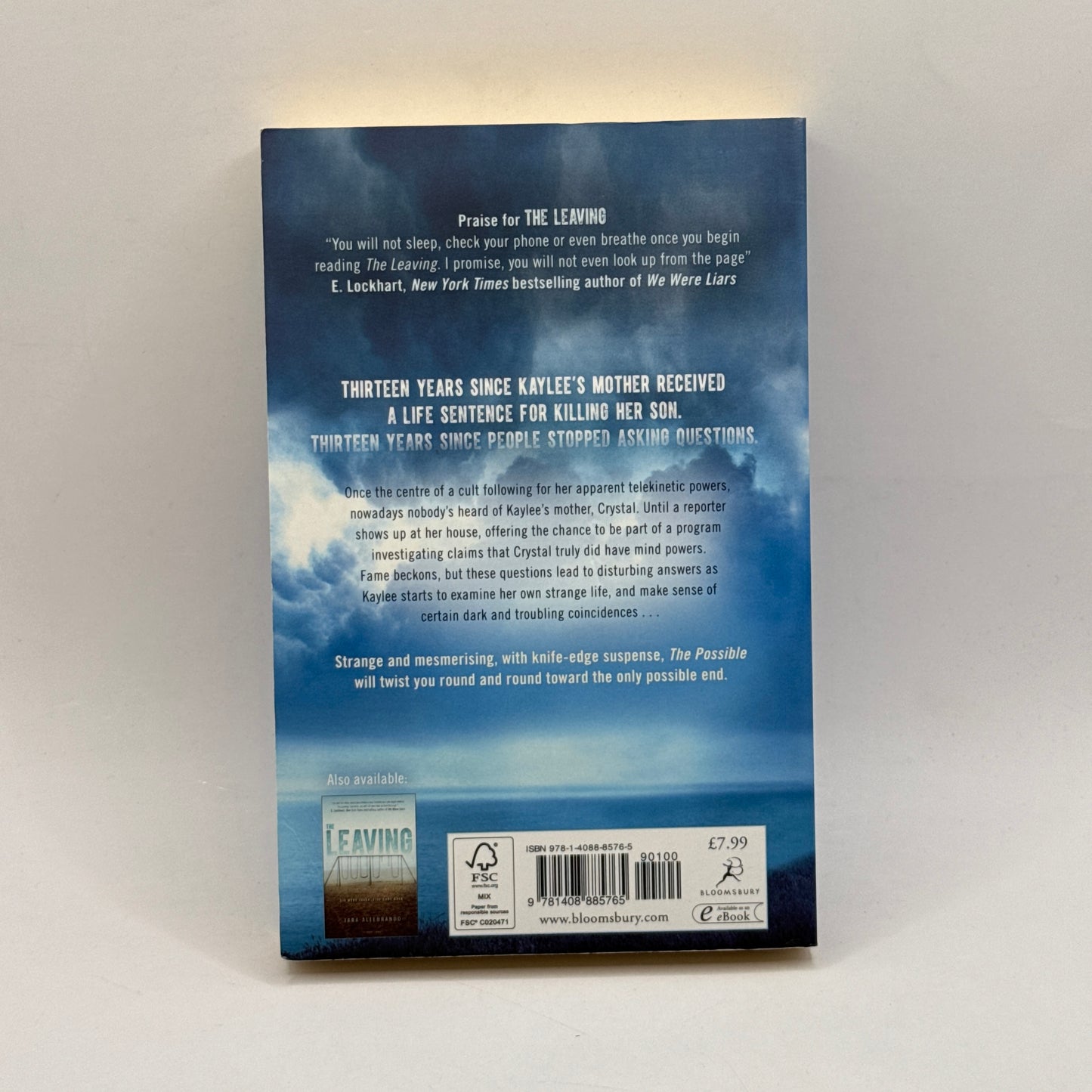 The Possible by Tara Altebrando