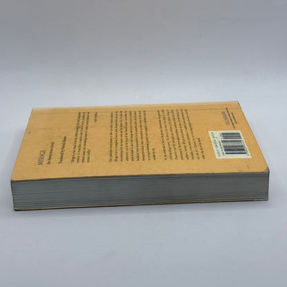 Mirage: An Anonymous Novel (Translated by Patrick Hanan)