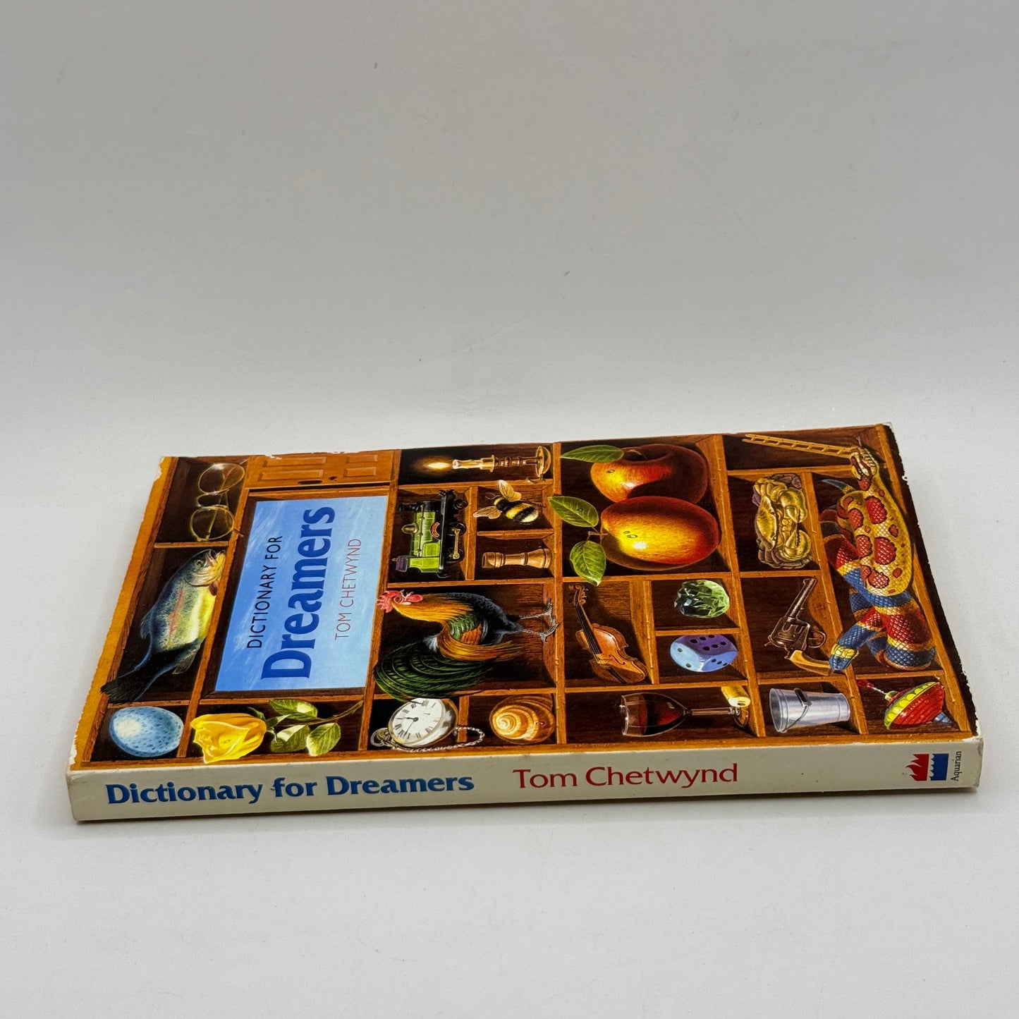 Dictionary for Dreamers by Tom Chetwynd