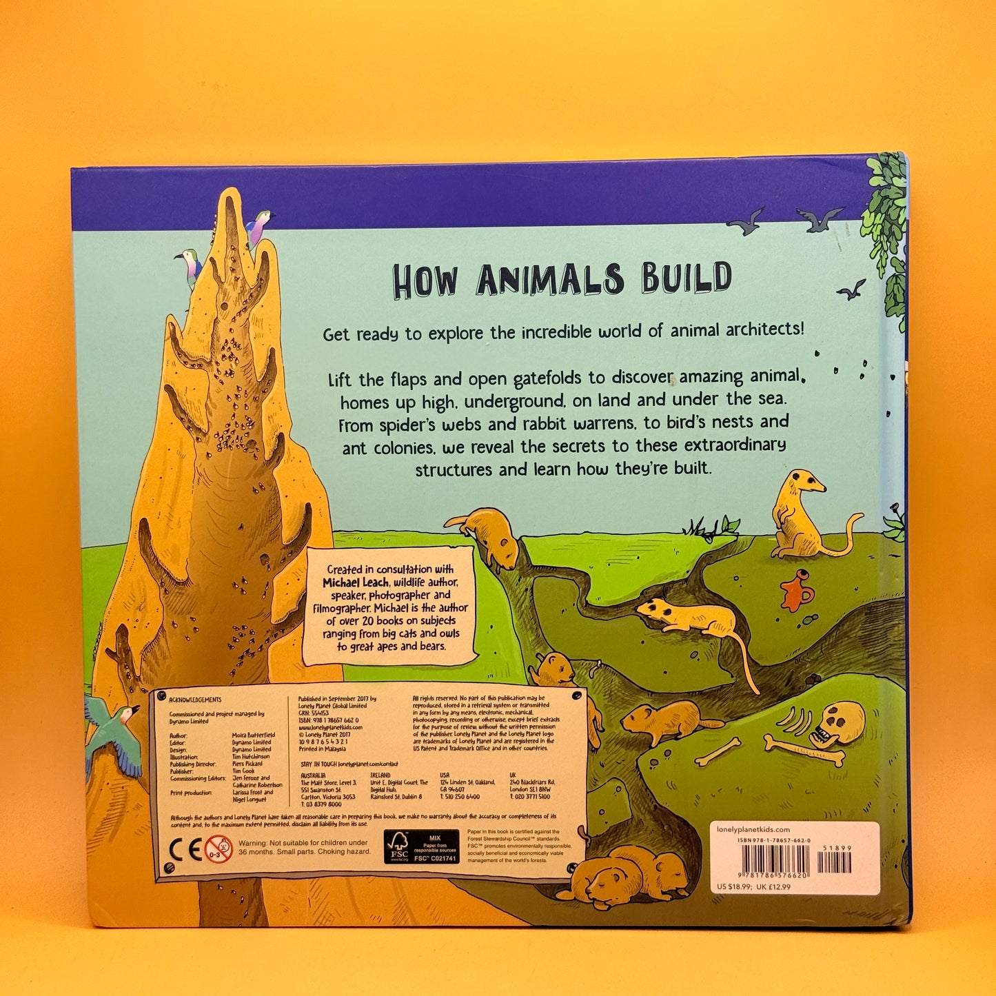 How Animals Build by Moira Butterfield & Tim Hutchinson