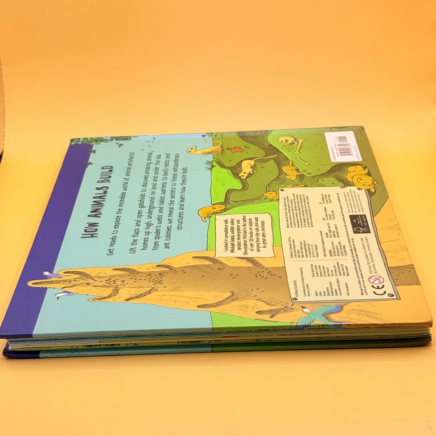 How Animals Build by Moira Butterfield & Tim Hutchinson