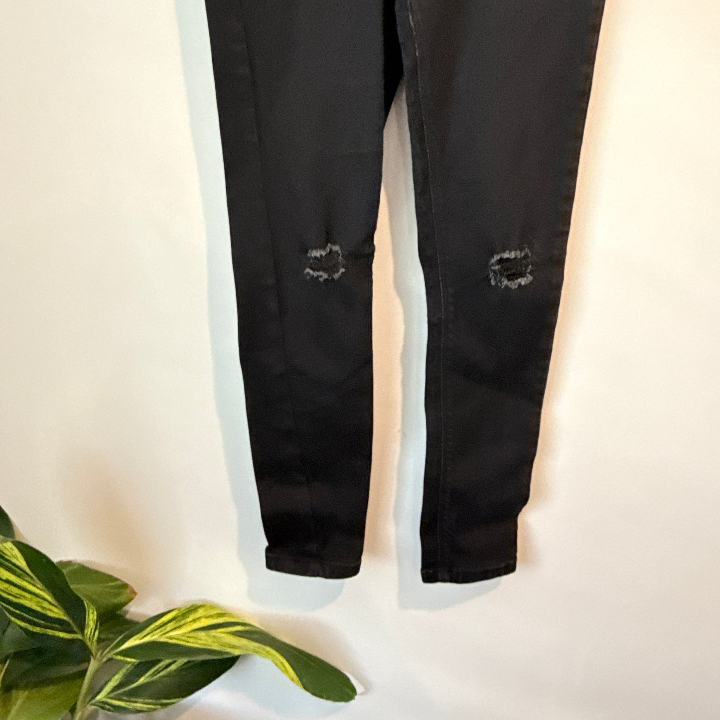 Dotti denim Jeans Black Distressed Skinny - Size S