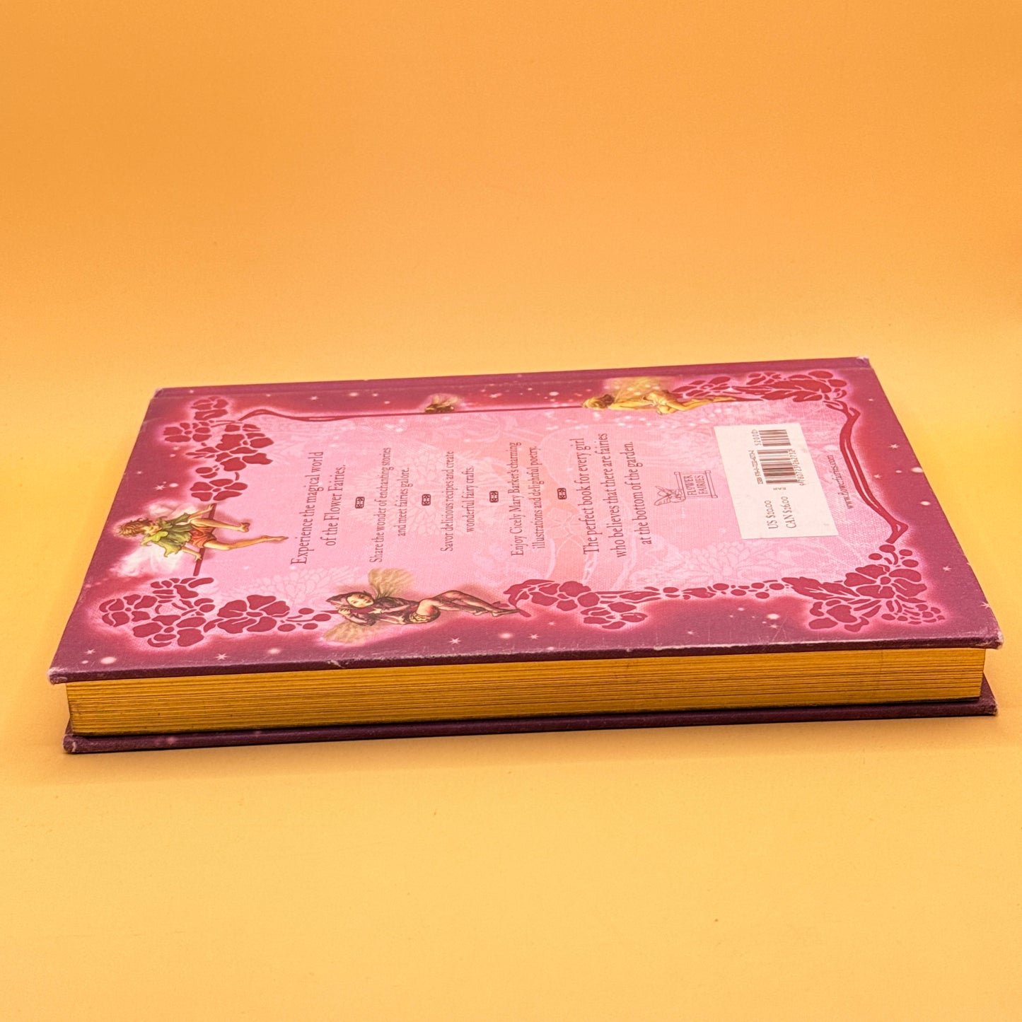 The Girls’ Book of Flower Fairies by Cicely Mary Barker (Warne)