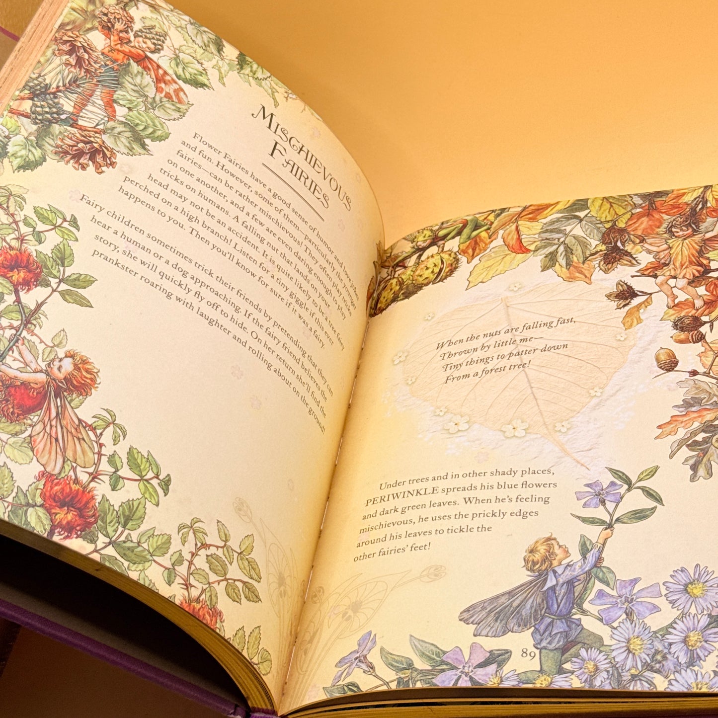 The Girls’ Book of Flower Fairies by Cicely Mary Barker (Warne)