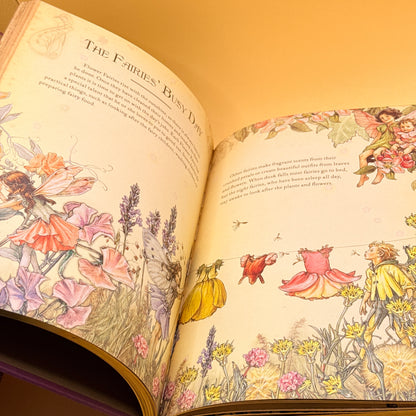 The Girls’ Book of Flower Fairies by Cicely Mary Barker (Warne)