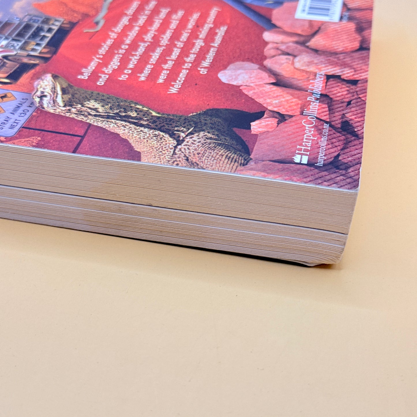 Tough Outback by Mike Bellamy