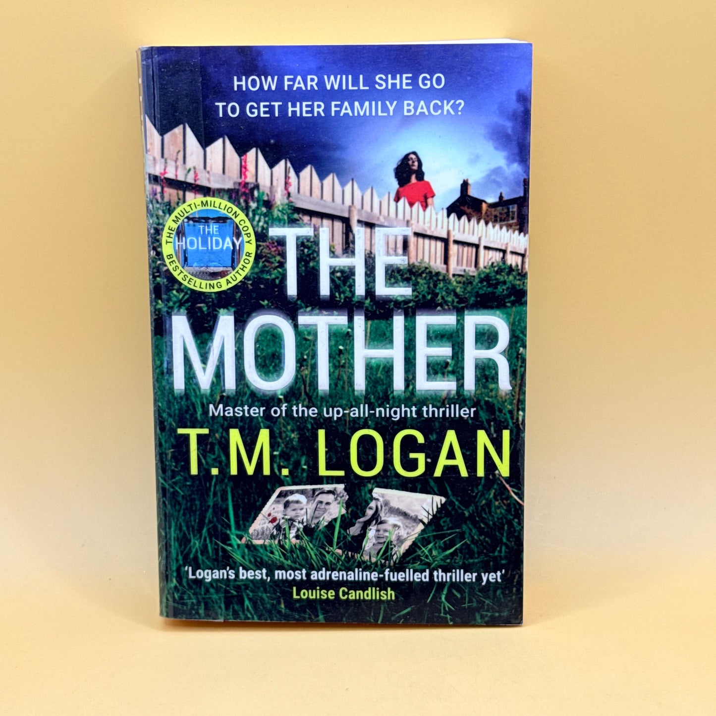 The Mother by T.M. Logan