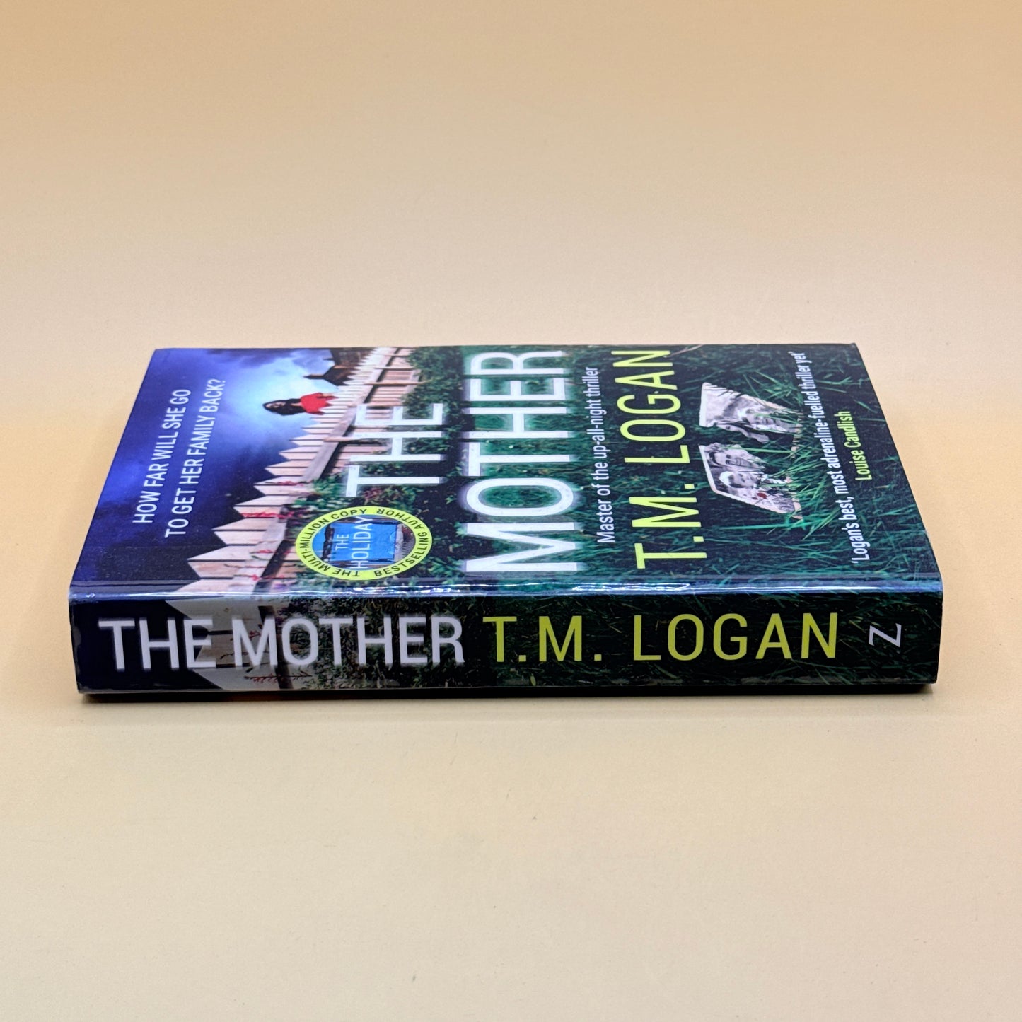 The Mother by T.M. Logan