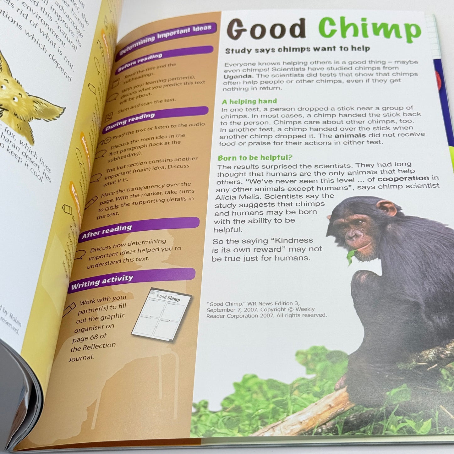 Co-operative Learning Activities (Yellow)