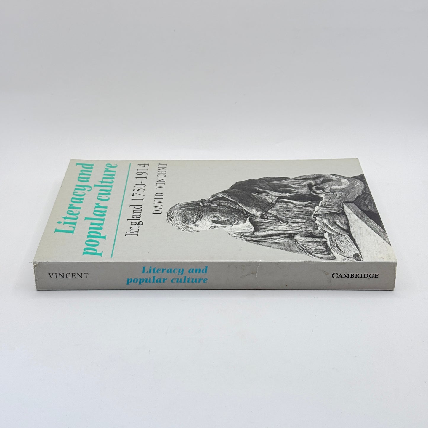 Literacy and Popular Culture: England 1750–1914 by David Vincent