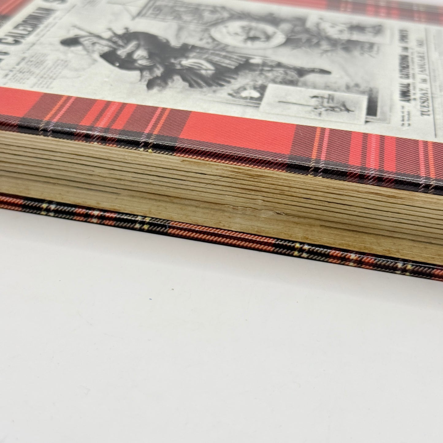 The Scots of New Zealand by G.L. Pearce