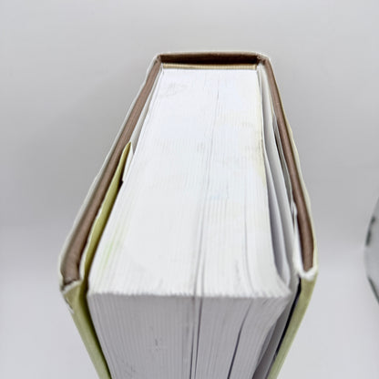 The Transformation of the World by Jürgen Osterhammel