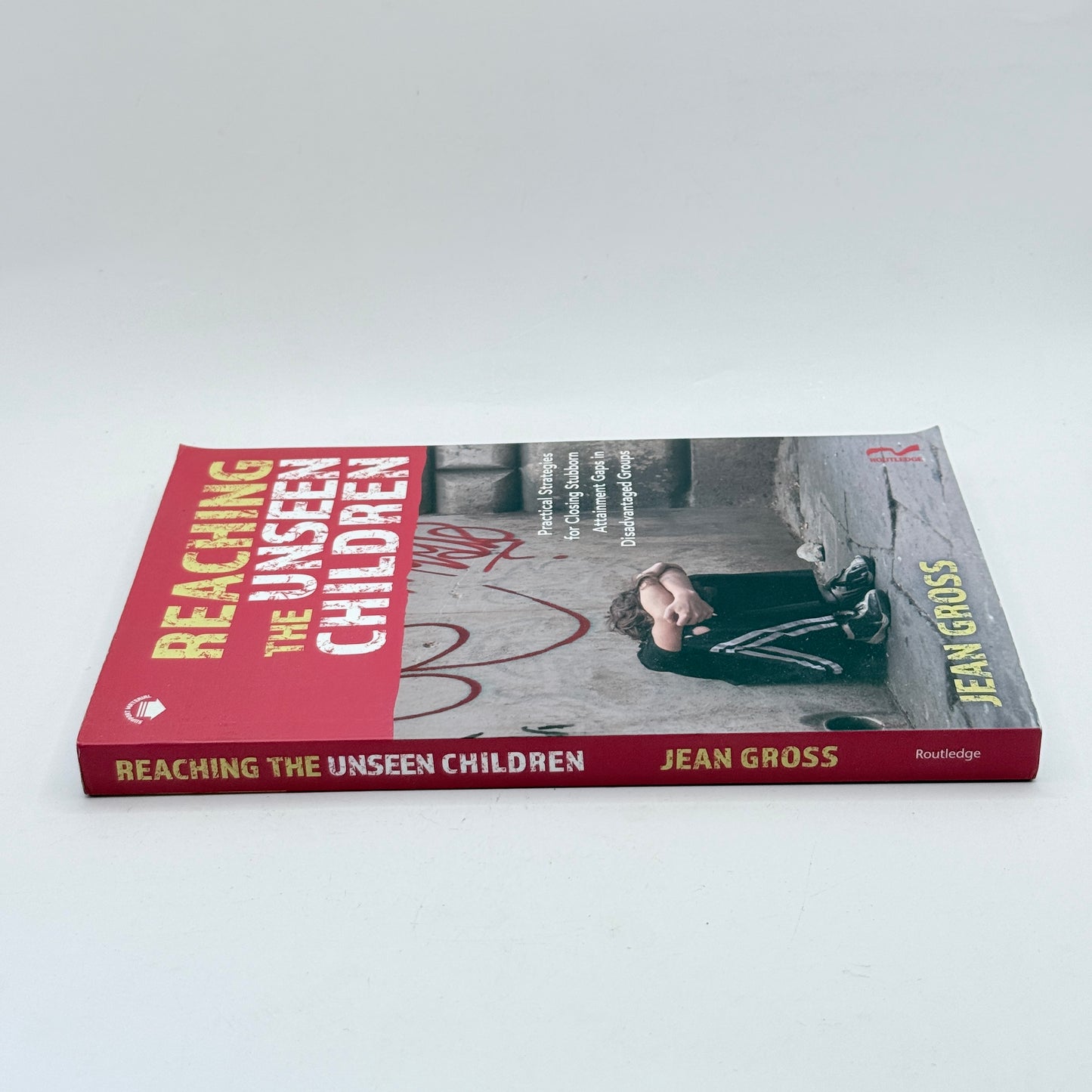 Reaching the Unseen Children by Jean Gross
