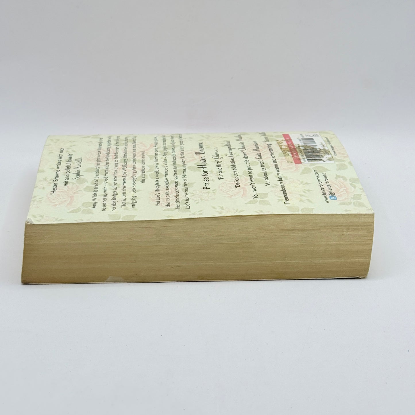 The Runaway Princess by Hester Browne