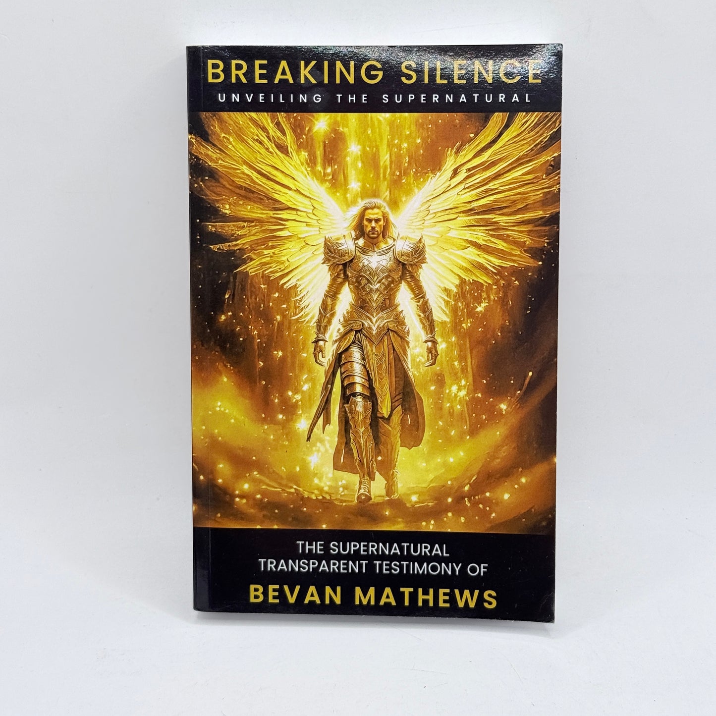 Breaking Silence by Bevan Mathews
