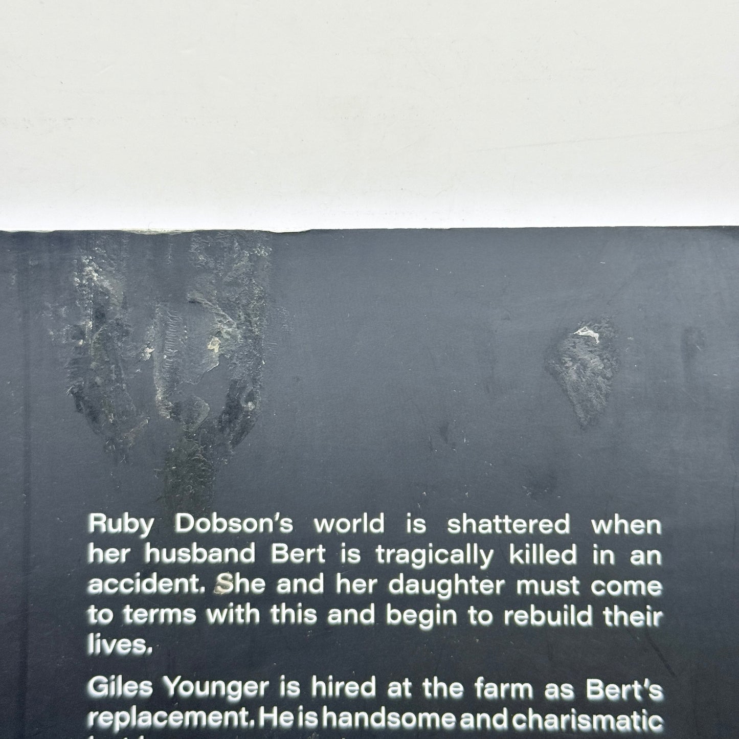 Ruby by Betty Hogg