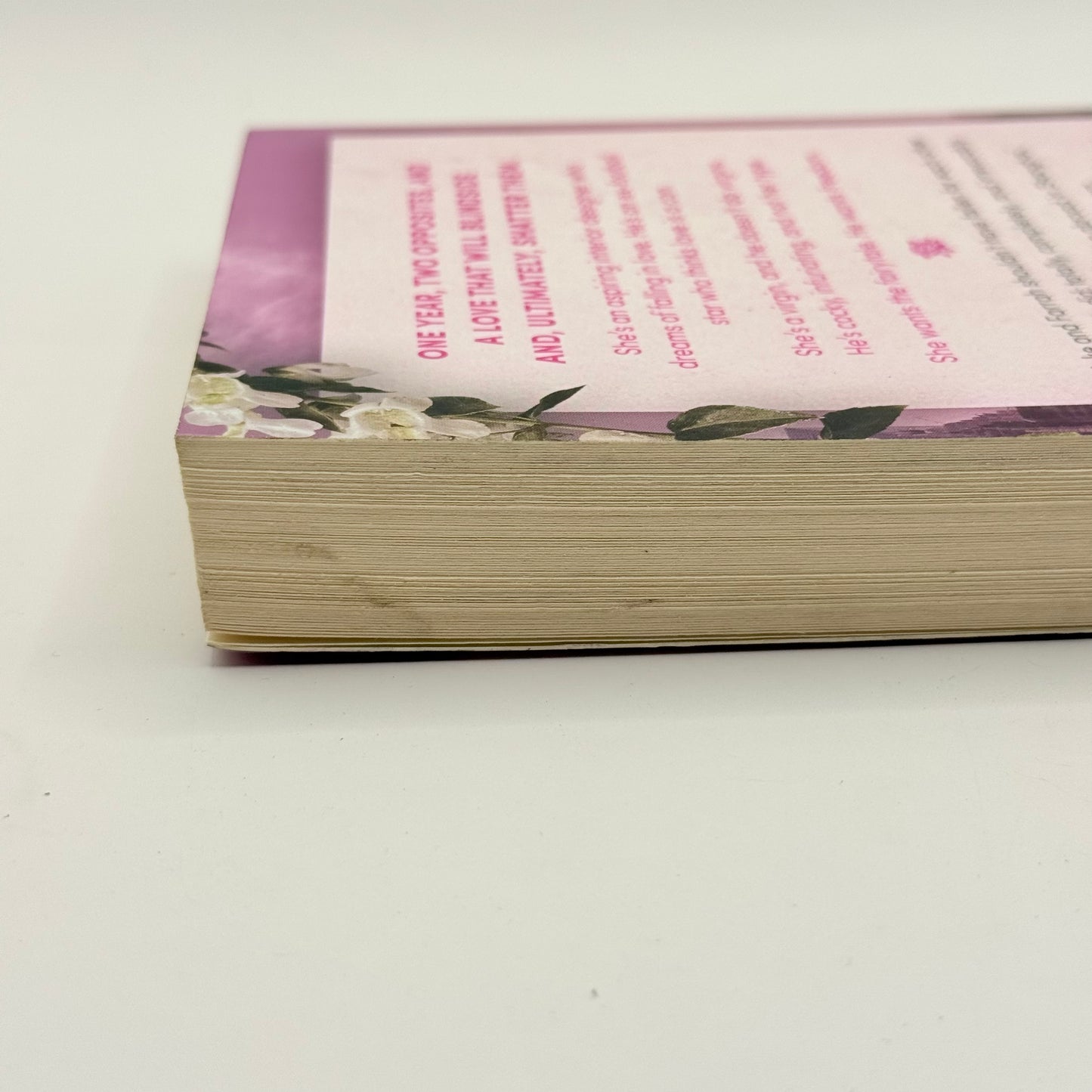 If We Ever Meet Again by Ana Huang