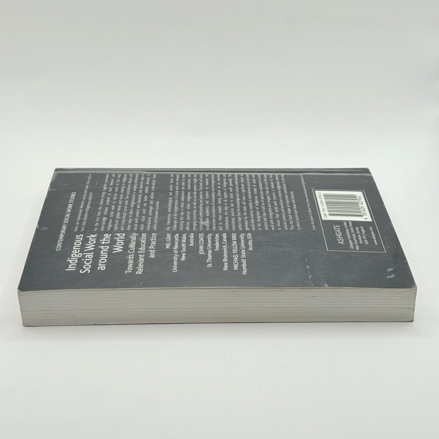 Indigenous Social Work around the World by Mel Gray, John Coates & Michael Yellow Bird