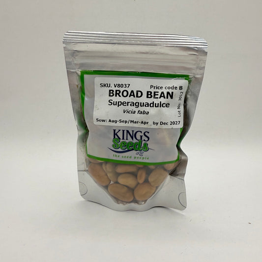 KING'S Seeds Broad Bean Superaguadulce
