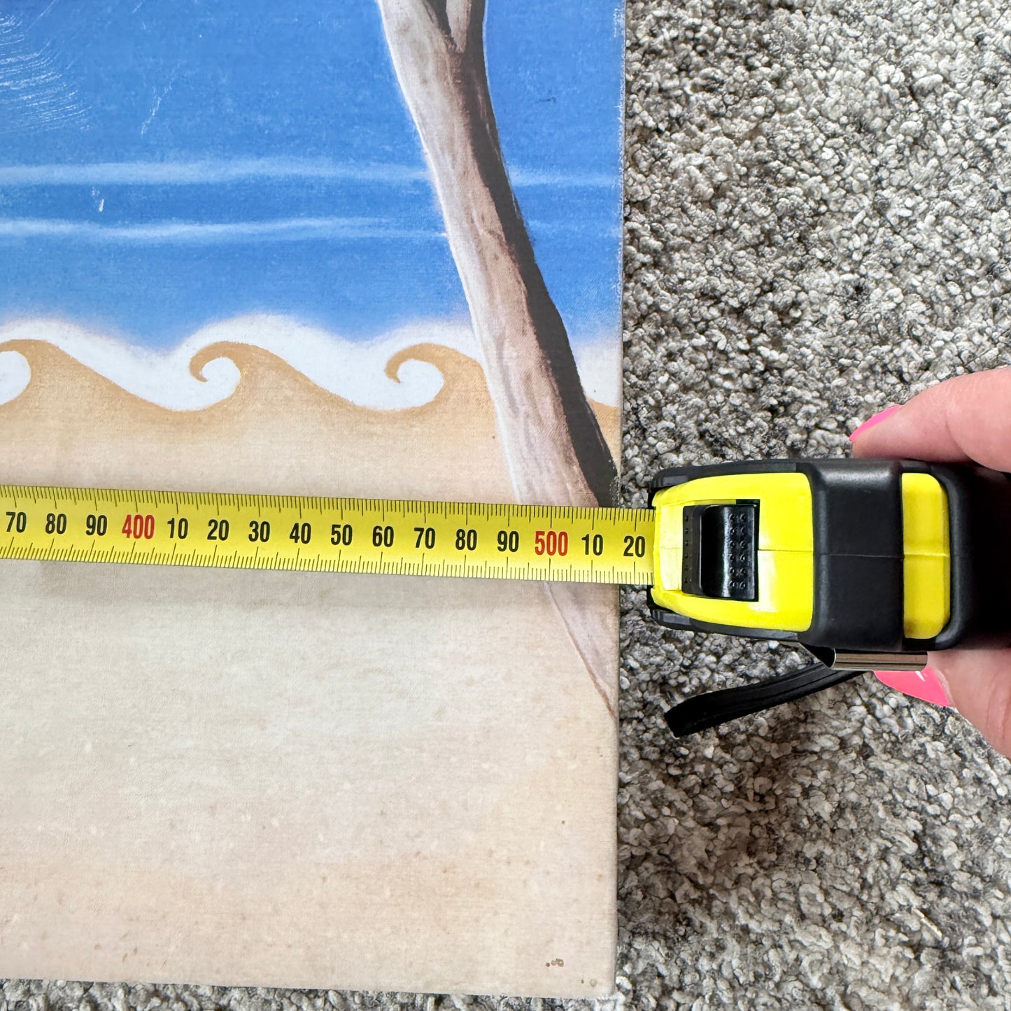 Kiwiana Pohutukawa and Beach Scene Canvas Wall Art 52 cm