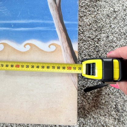 Kiwiana Pohutukawa and Beach Scene Canvas Wall Art 52 cm