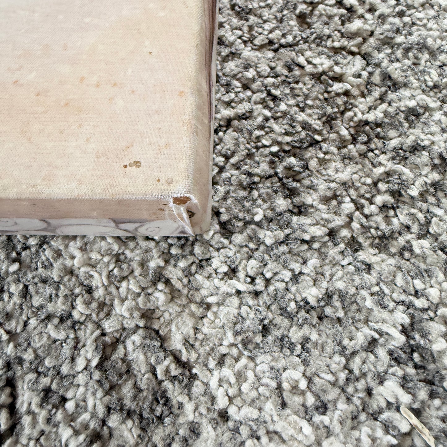 Kiwiana Pohutukawa and Beach Scene Canvas Wall Art 52 cm