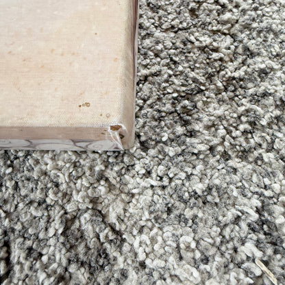 Kiwiana Pohutukawa and Beach Scene Canvas Wall Art 52 cm