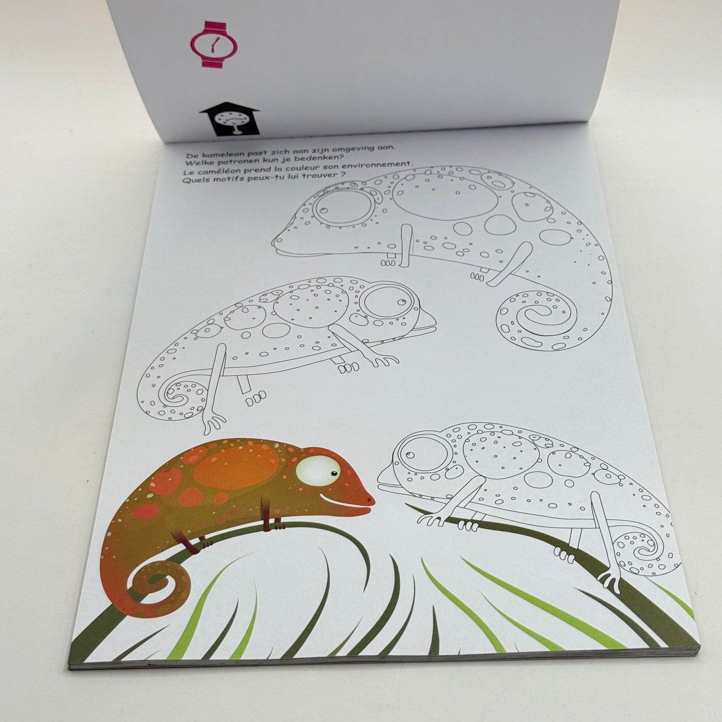 Krabbelplezier voor kids  Gribouiller et s’amuser pour les petits