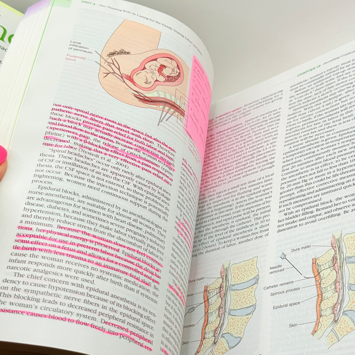 Maternal & Child Health Nursing by Adele Pillitteri