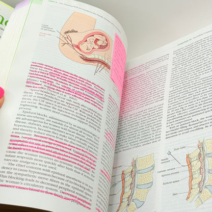 Maternal & Child Health Nursing by Adele Pillitteri