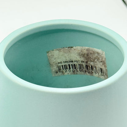 Modern Tapered Ceramic Pots Set of 3