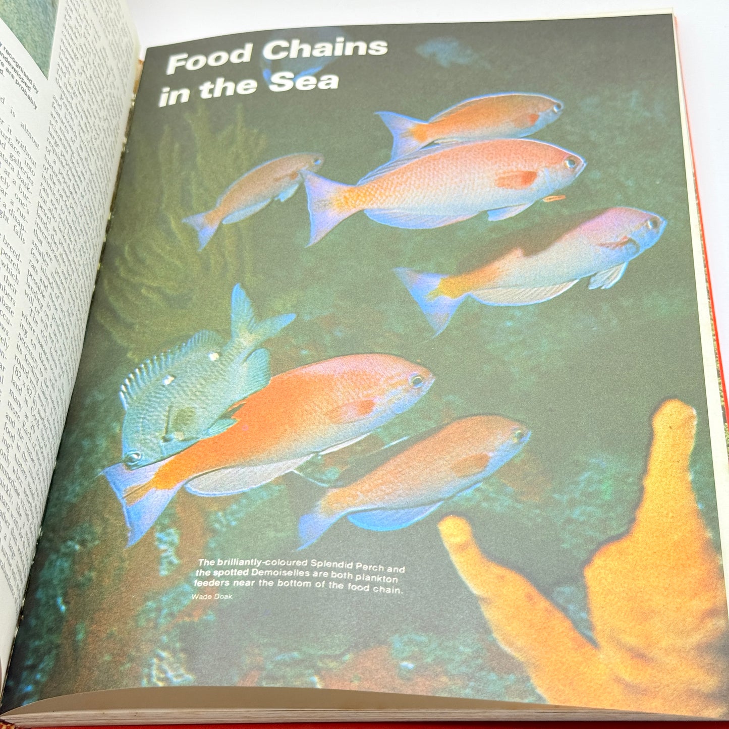 New Zealand's Nature Heritage, Volume 1 (1974)