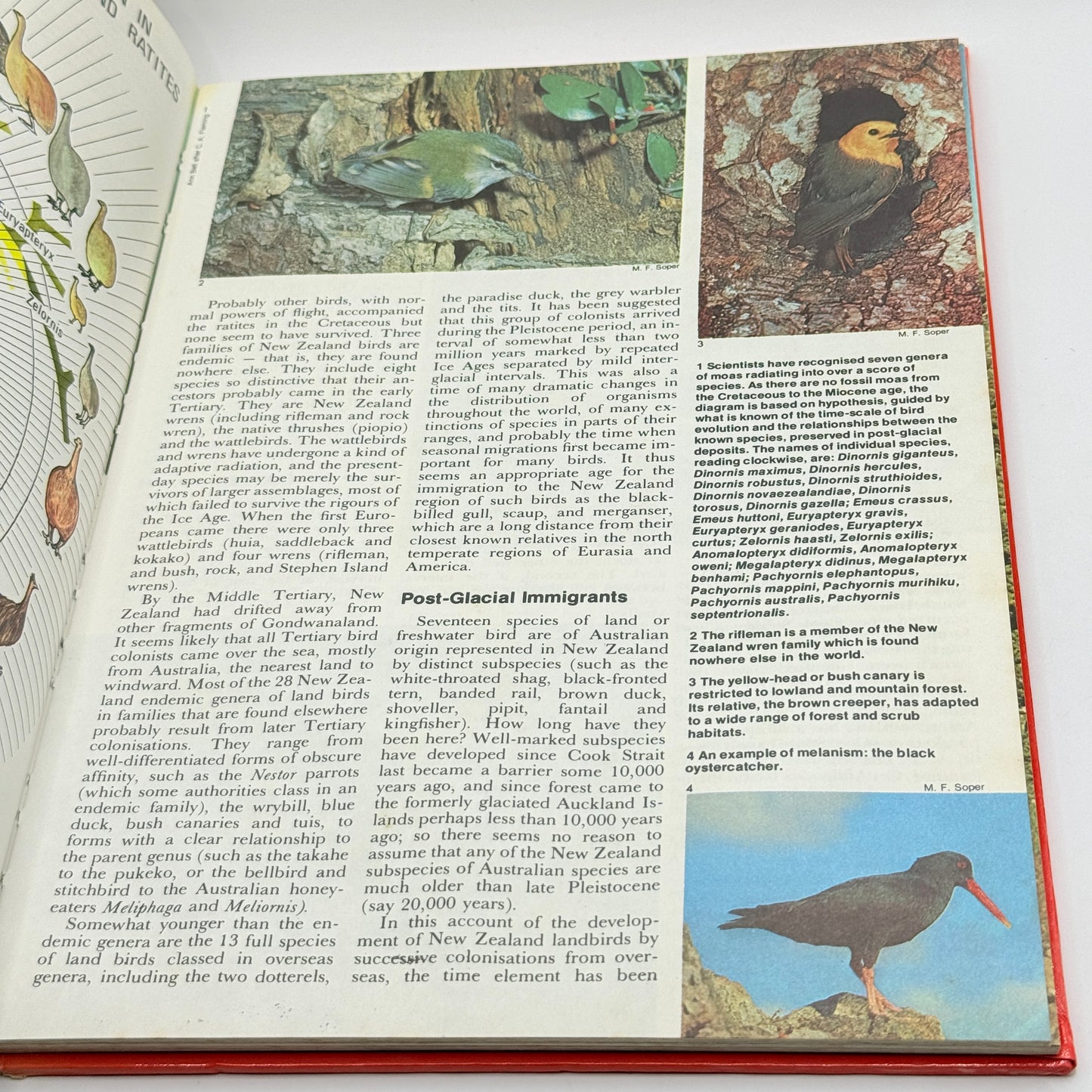New Zealand's Nature Heritage, Volume 1 (1974)