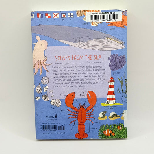 Ocean Anatomy by Julia Rothman