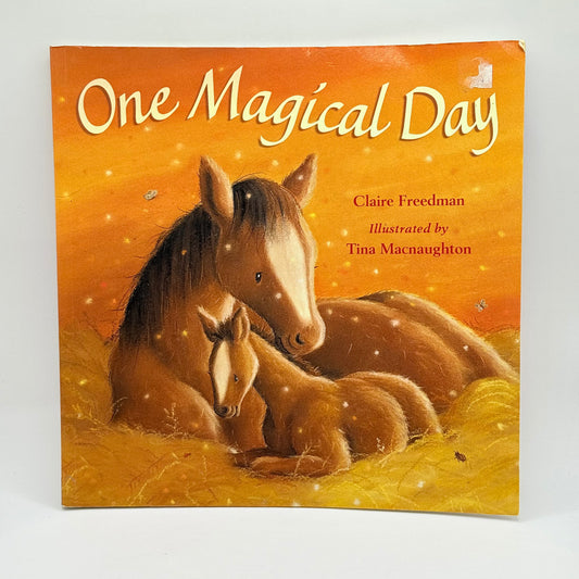 One Magical Day by Claire Freedman & Tina Macnaughton