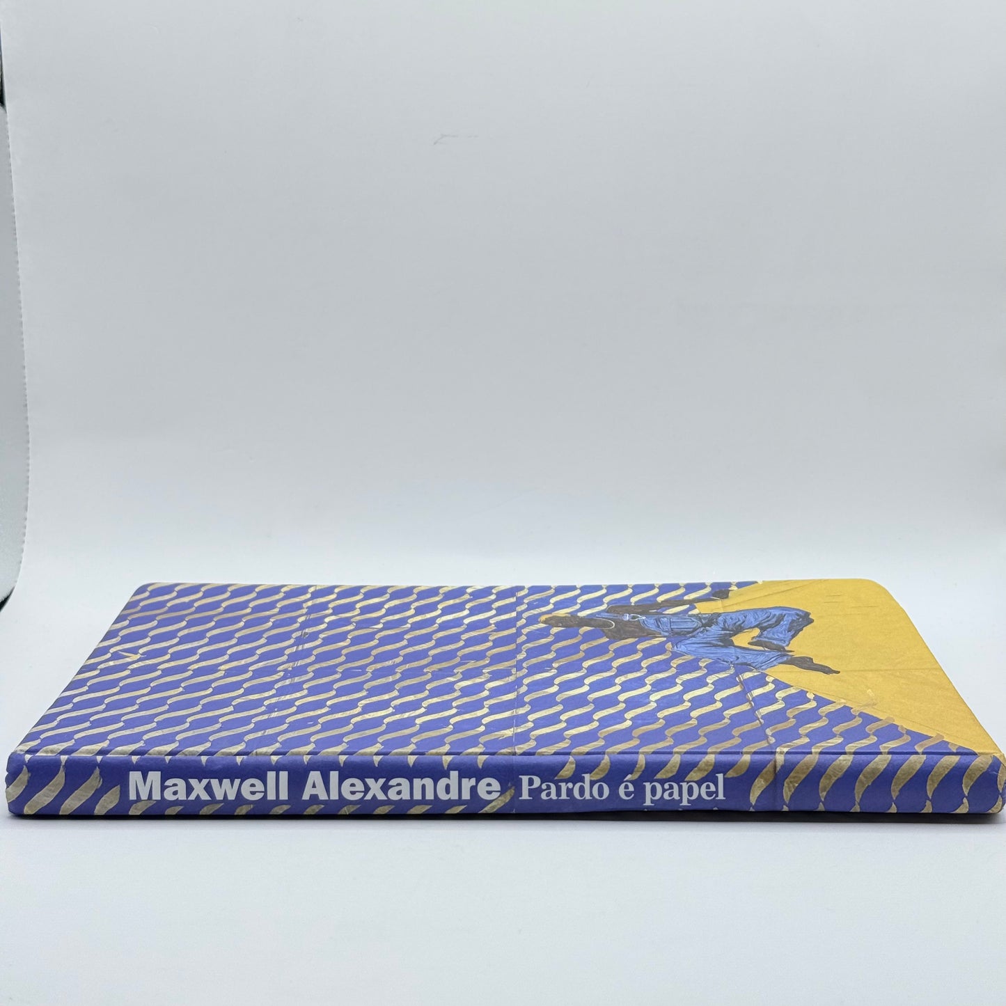 Pardo é papel by Maxwell Alexandre