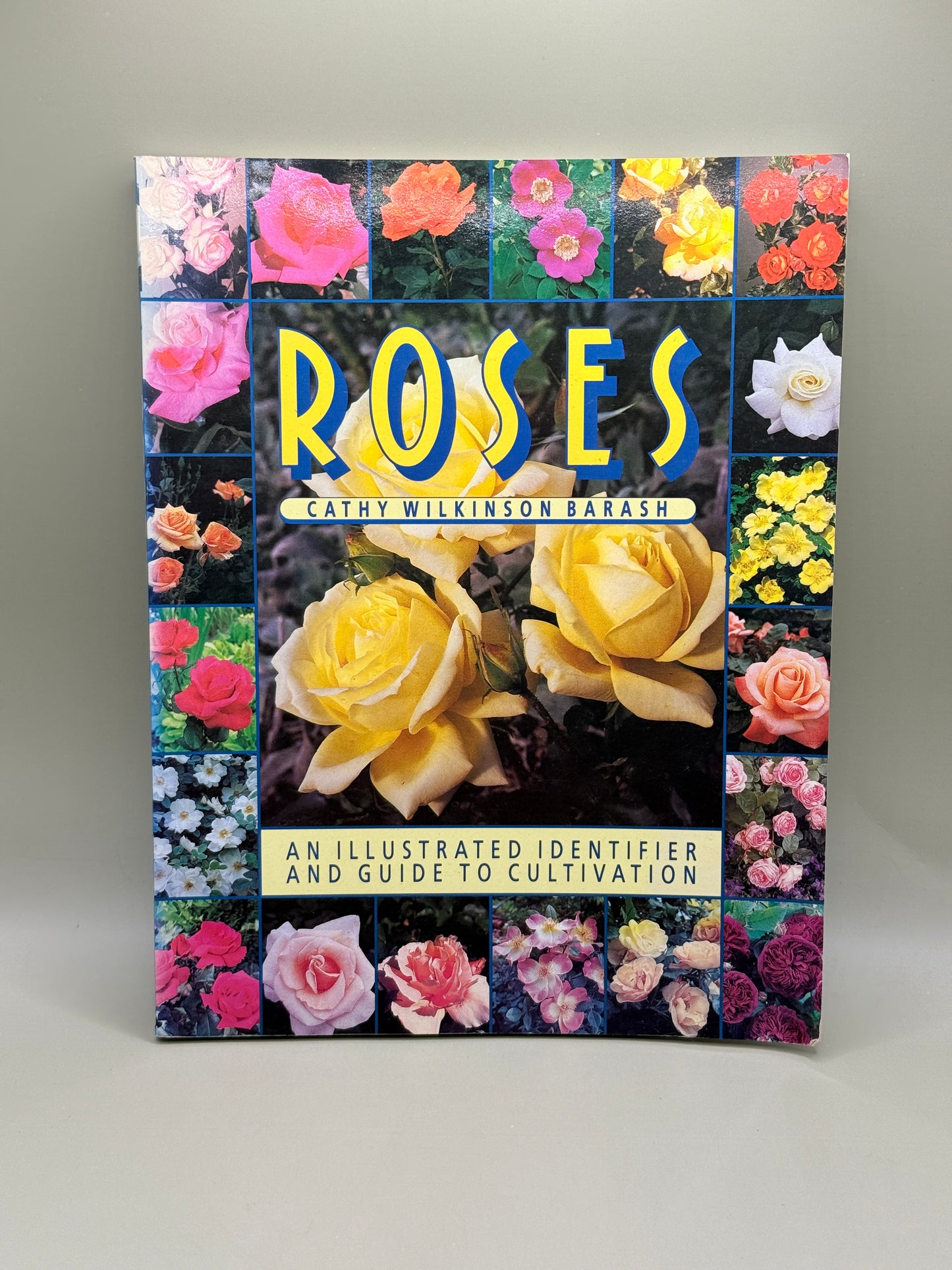 Roses by Cathy Wilkinson Barash