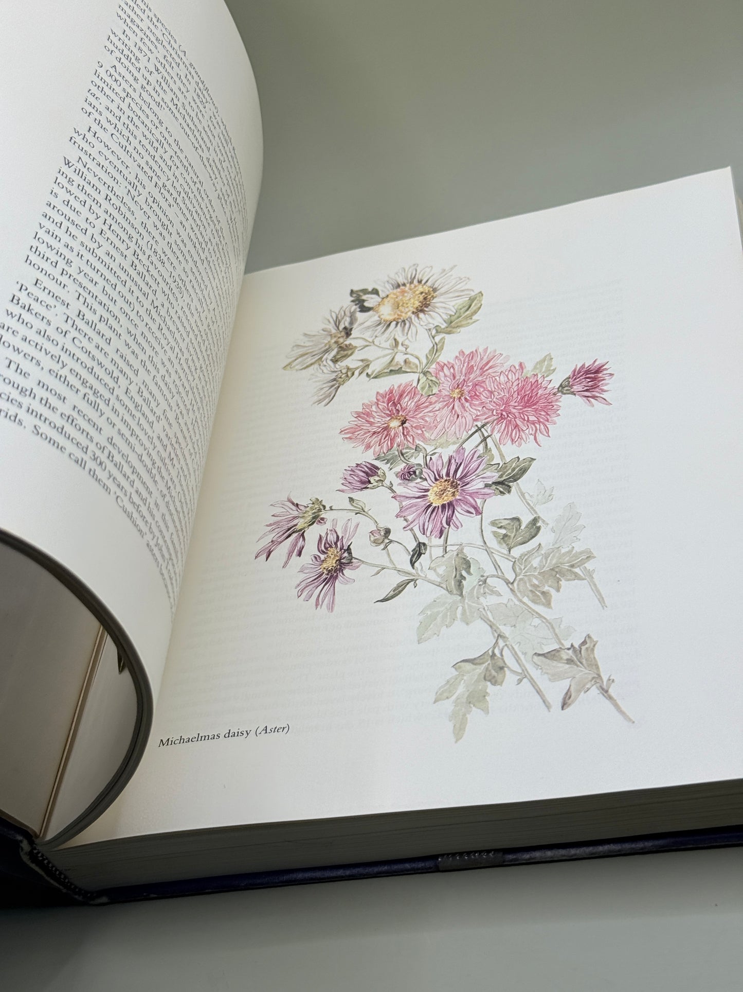 By Any Other Name by Gladys Lucas