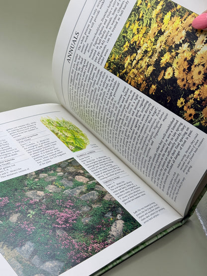 The Low Maintenance Garden (The Garden Bookshelf) by Graham Rose