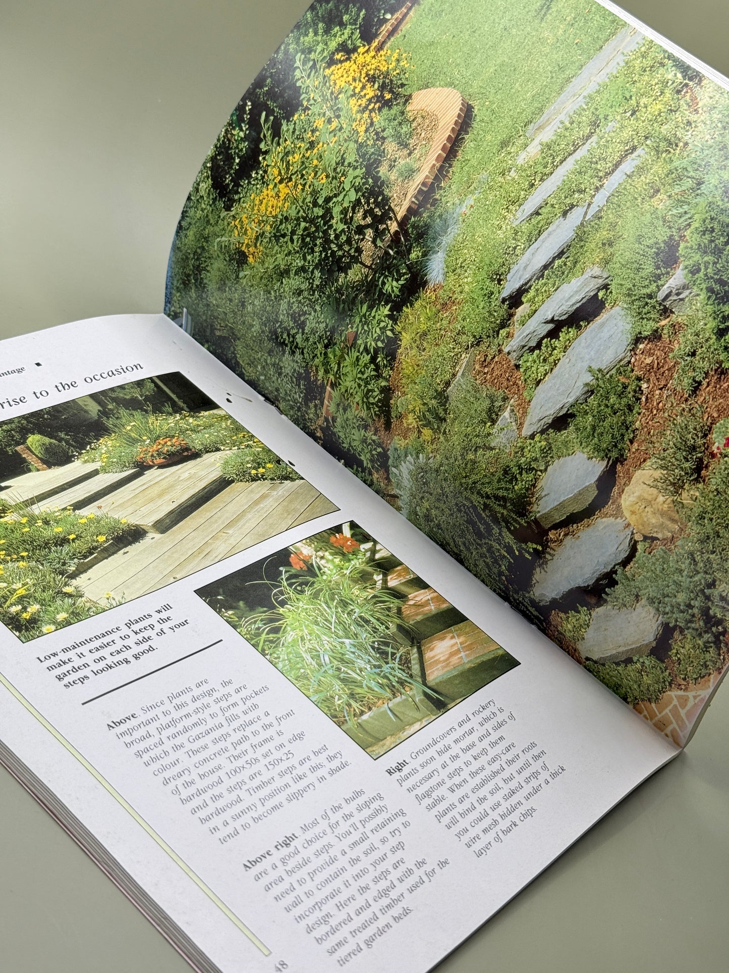 How to Create a Beautiful Garden by Better Homes and Gardens