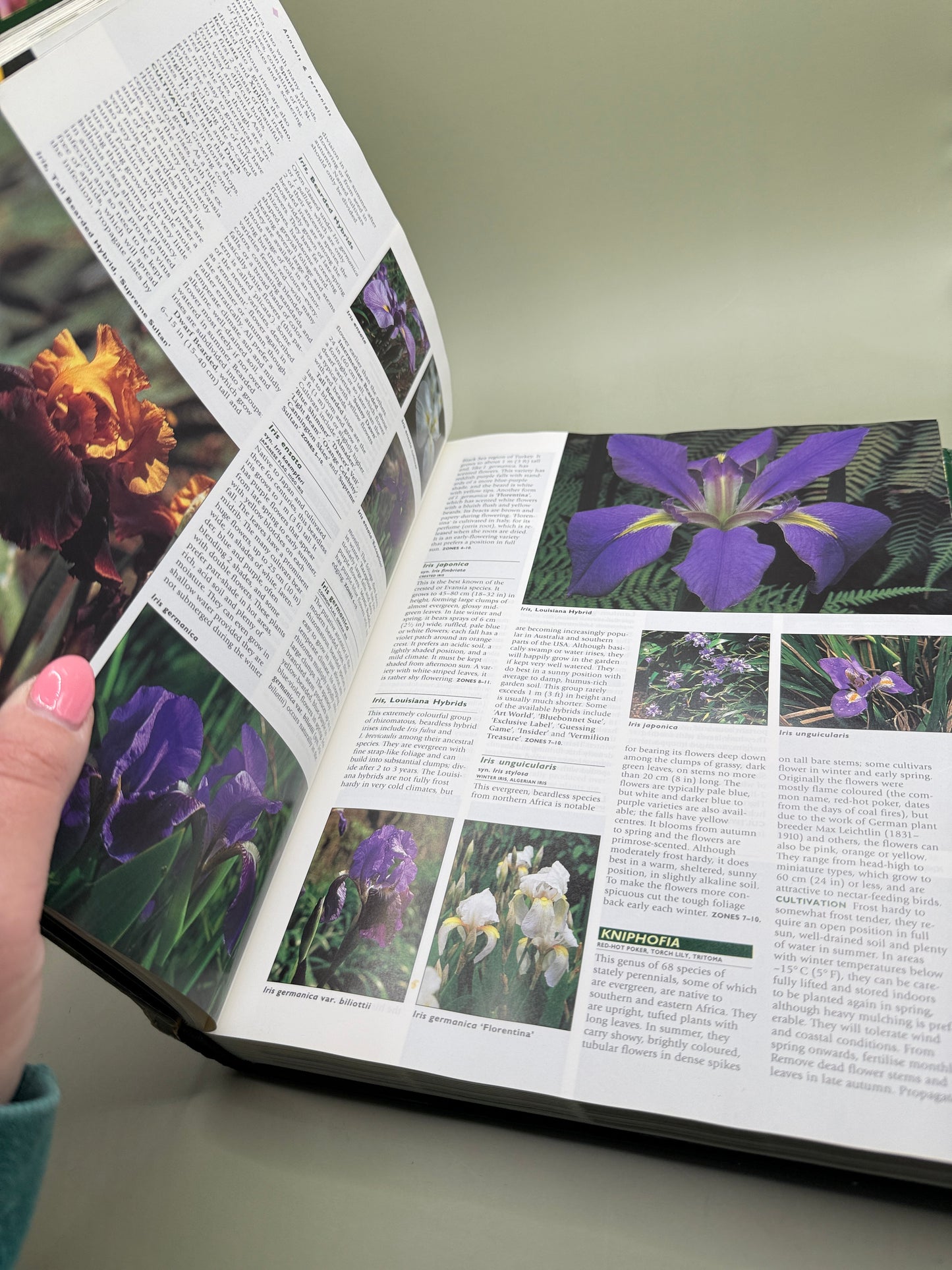 New Zealand Gardening Encyclopedia